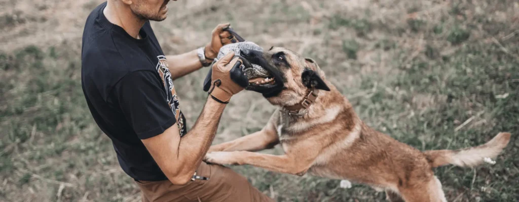 me mordió un perro