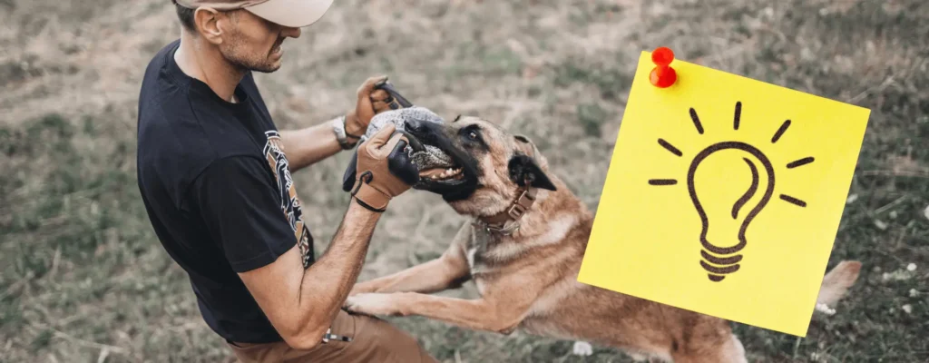 demanda por mordedura de perro
