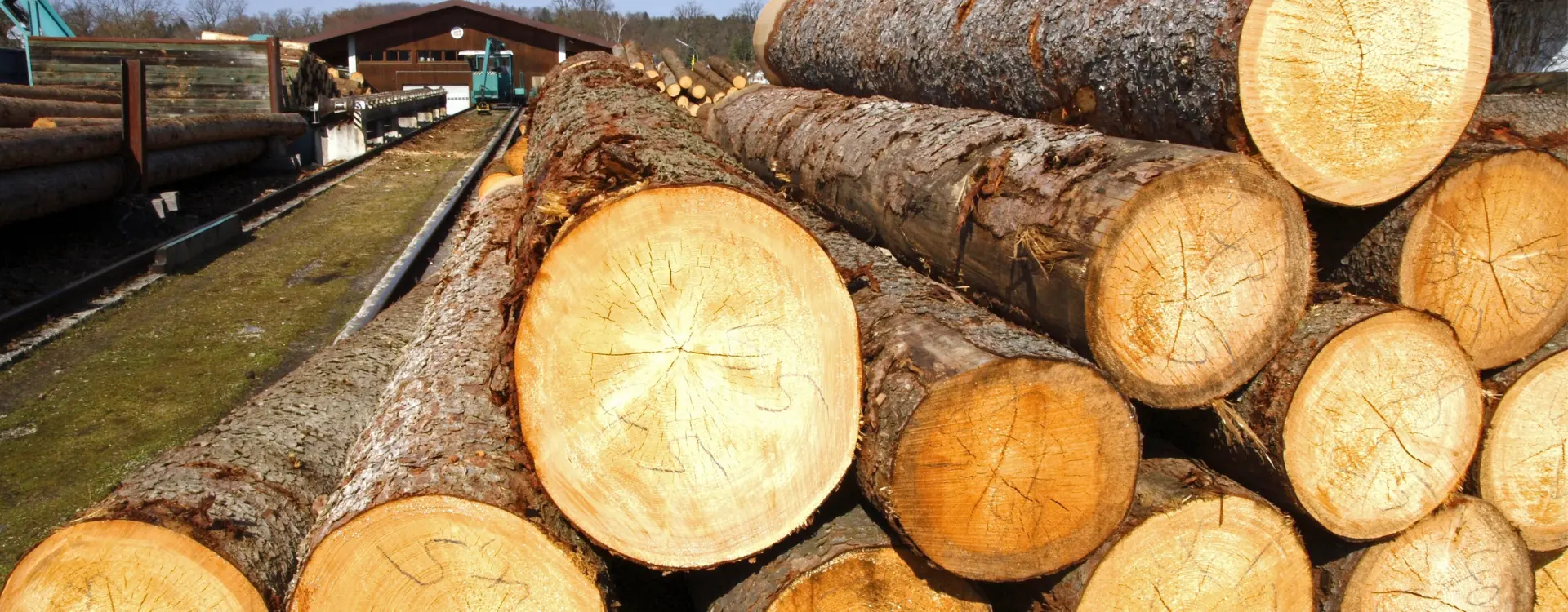 suv spills lumber