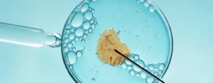 california lost embryo lawsuit 1536x600