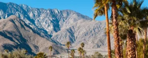 crash in palm desert