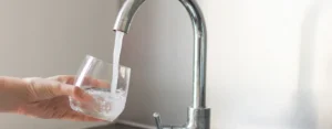 lead in Watts tap water