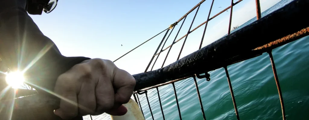 san francisco boat accident