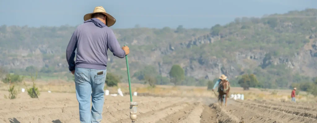 temporary farmworkers rule