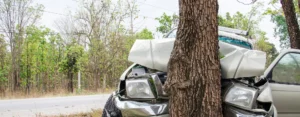 tree collision on union ave