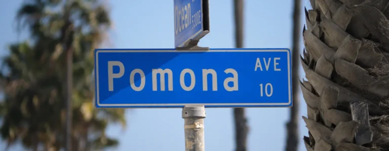 atropello a exceso de velocidad en Pomona