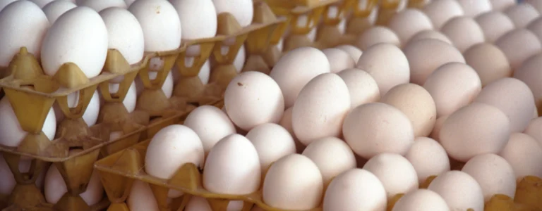 California Egg Recall