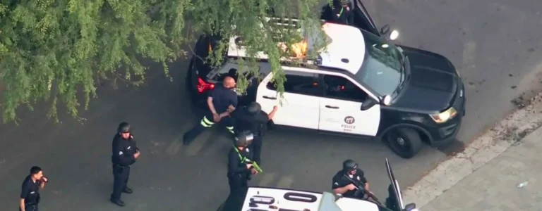persecución en tarzana