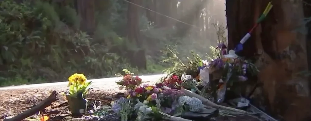 accidente fatal en marin county