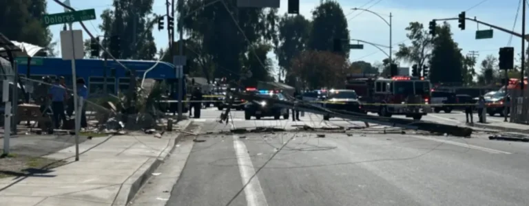 atropello por conductor ebrio